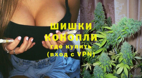 винт Лиски